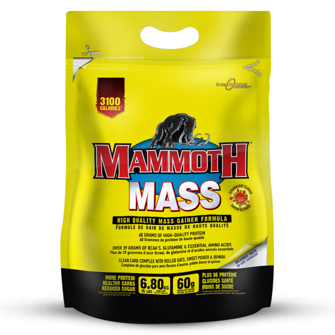Mammoth 2500 (Mammoth Mass) info & aanbiedingen! Krachttraining.info